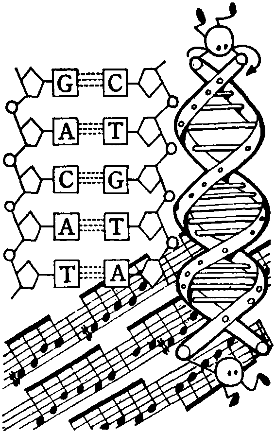 DNA音乐